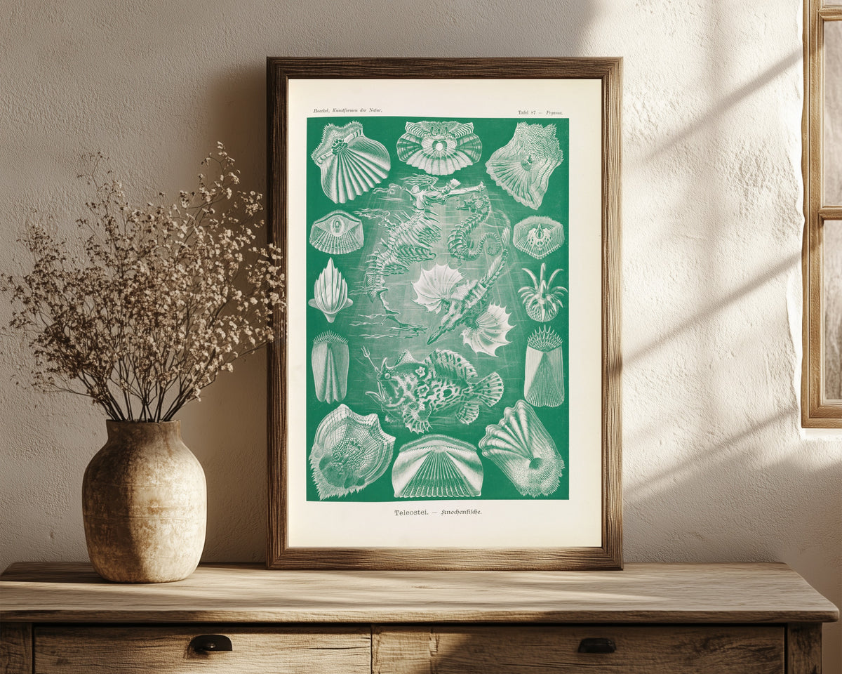 Framed art print of Kunstformen der Natur, Plate 87: Teleostei by Ernst Haeckel, in a dark wood frame leaning on a rustic console beside dried flowers