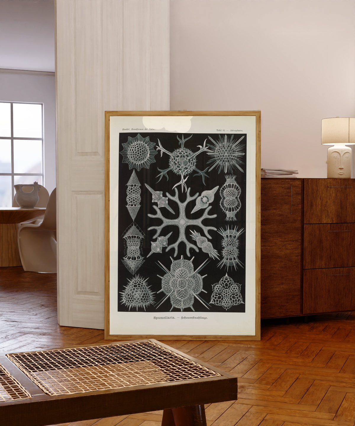 Framed art print of Kunstformen der Natur, Plate 91: Spumellaria by Ernst Haeckel, in a light wood frame leaning in a warm room with a parquet floor