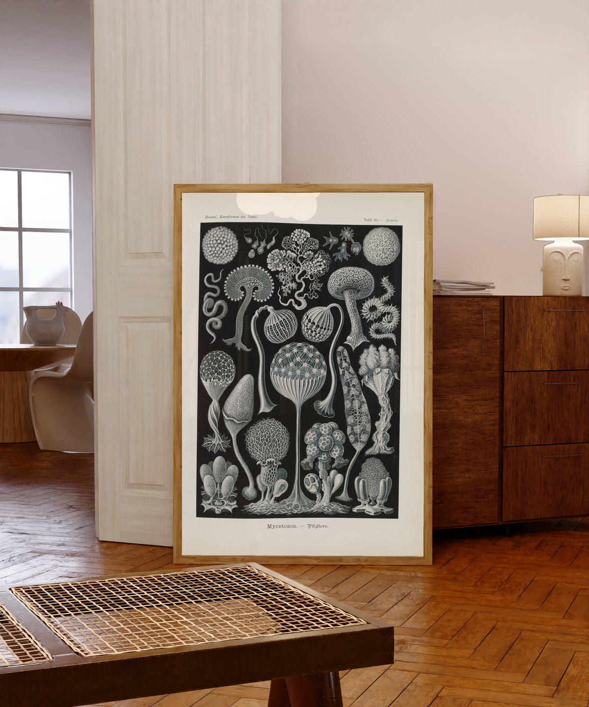 Framed art print of Kunstformen der Natur, Plate 93: Mycetozoa by Ernst Haeckel, in a light wood frame leaning in a warm room with a parquet floor