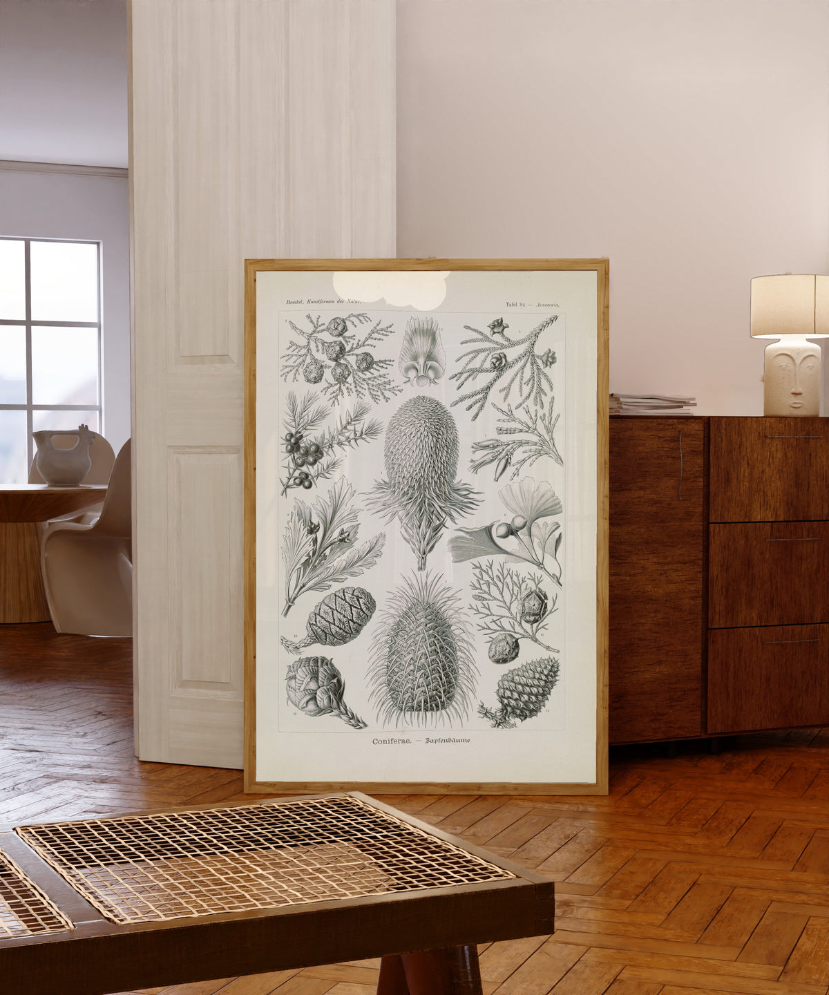 Framed art print of Kunstformen der Natur, Plate 94: Coniferae by Ernst Haeckel, in a light wood frame leaning in a warm room with a parquet floor