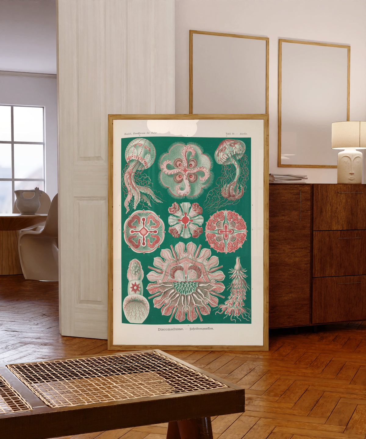 Framed art print of Kunstformen der Natur, Plate 98: Discomedusae by Ernst Haeckel, in a light wood frame leaning in a warm room with a parquet floor