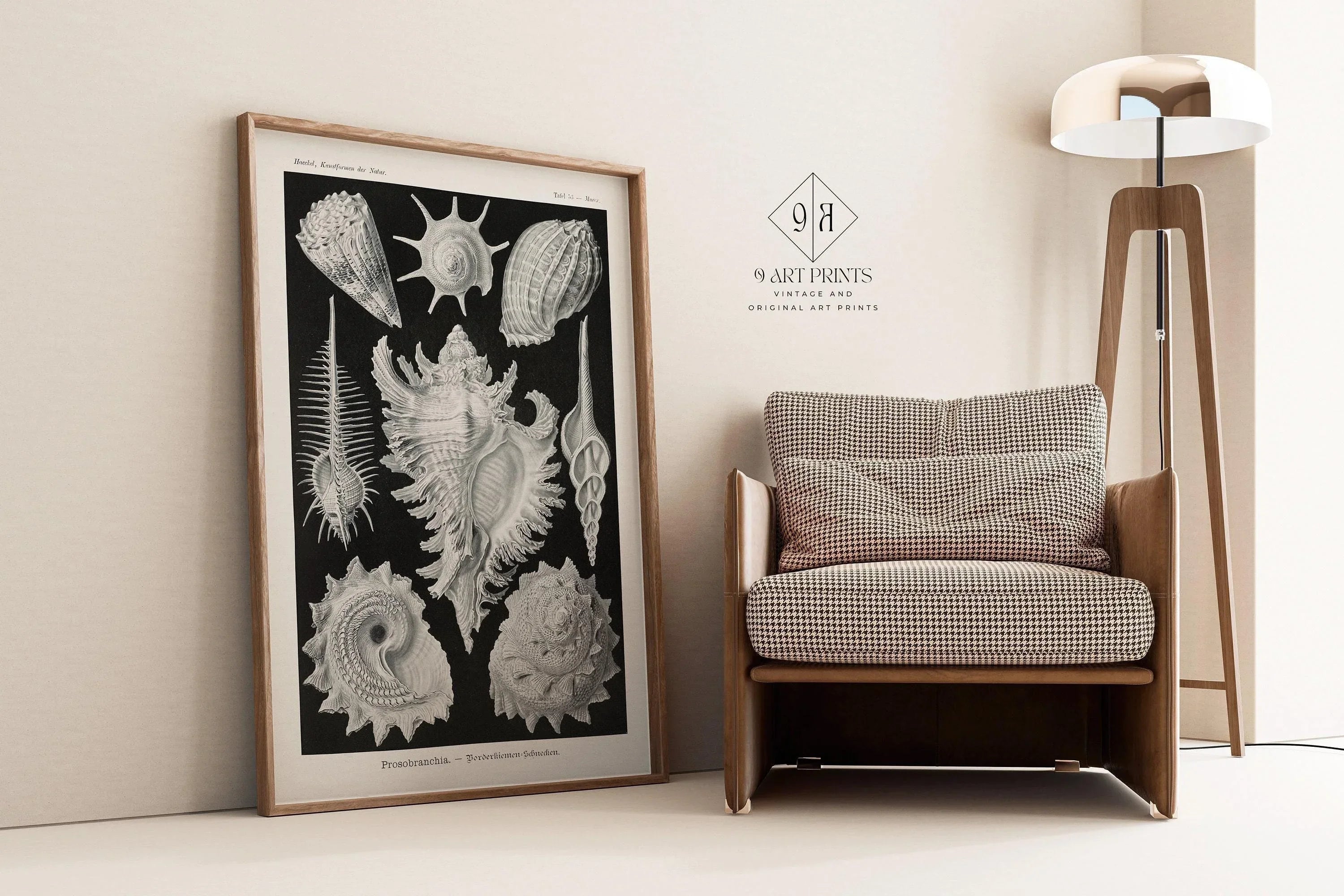 Ernst Haeckel Shells Art Print: Black and White Marine Life - 9ArtPrints