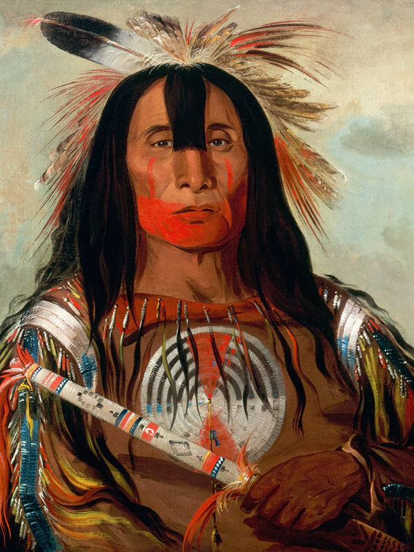 George Catlin — Blood Leader Stu-mick-o-súcks | Fine Art Print