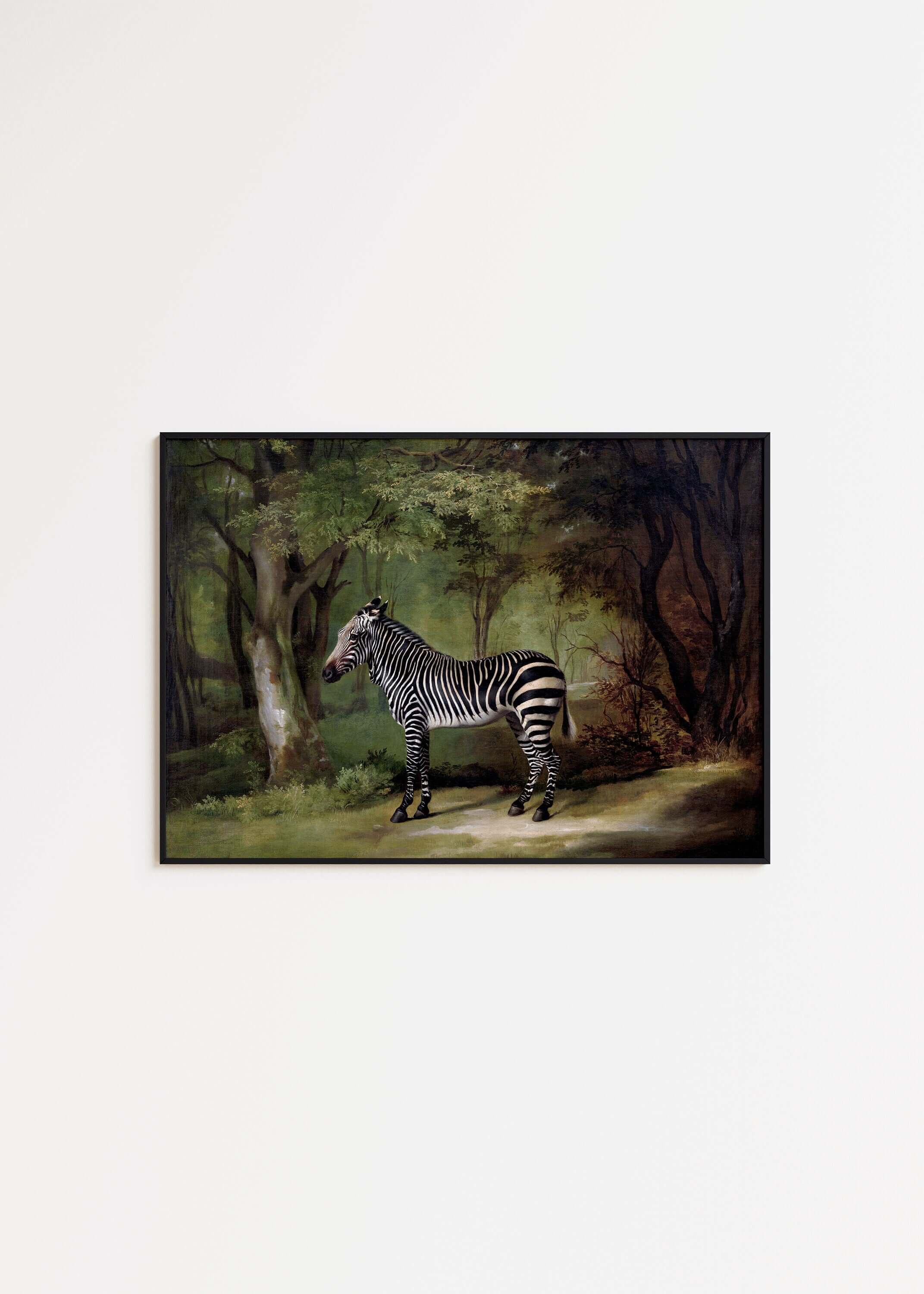 George Stubbs - Zebra | Famous Animal Art (available framed or unframed) - 9ArtPrints