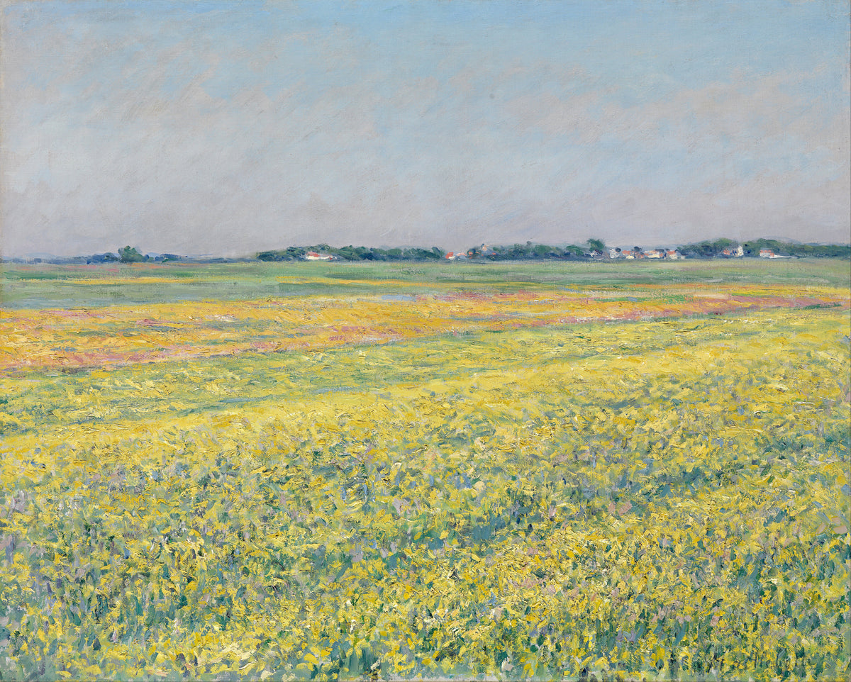Gustave Caillebotte — The Plain of Gennevilliers, Yellow Fields | Fine Art Print