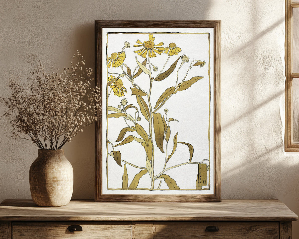 Framed art print of Sneeze Weed by Hannah Borger Overbeck, in a dark wood frame leaning on a rustic console beside dried flowers