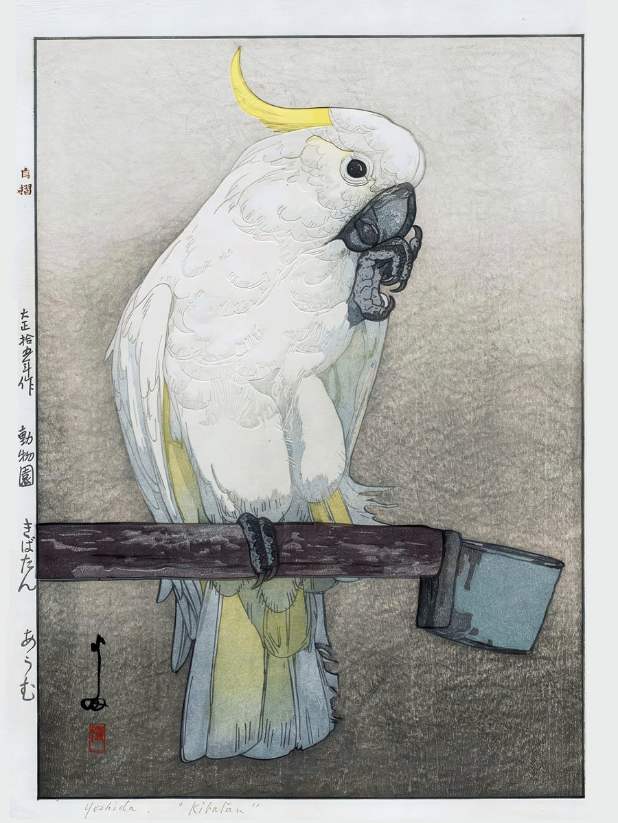 Hiroshi Yoshida — Kibatan Parrot | Japanese Woodblock Print (Shin Hanga) shown to scale on a wall above a sofa