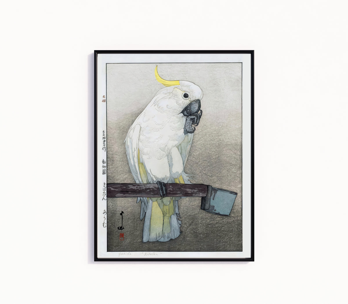 Framed art print of Kibatan Parrot by Hiroshi Yoshida, in a slim black frame on a plain white wall