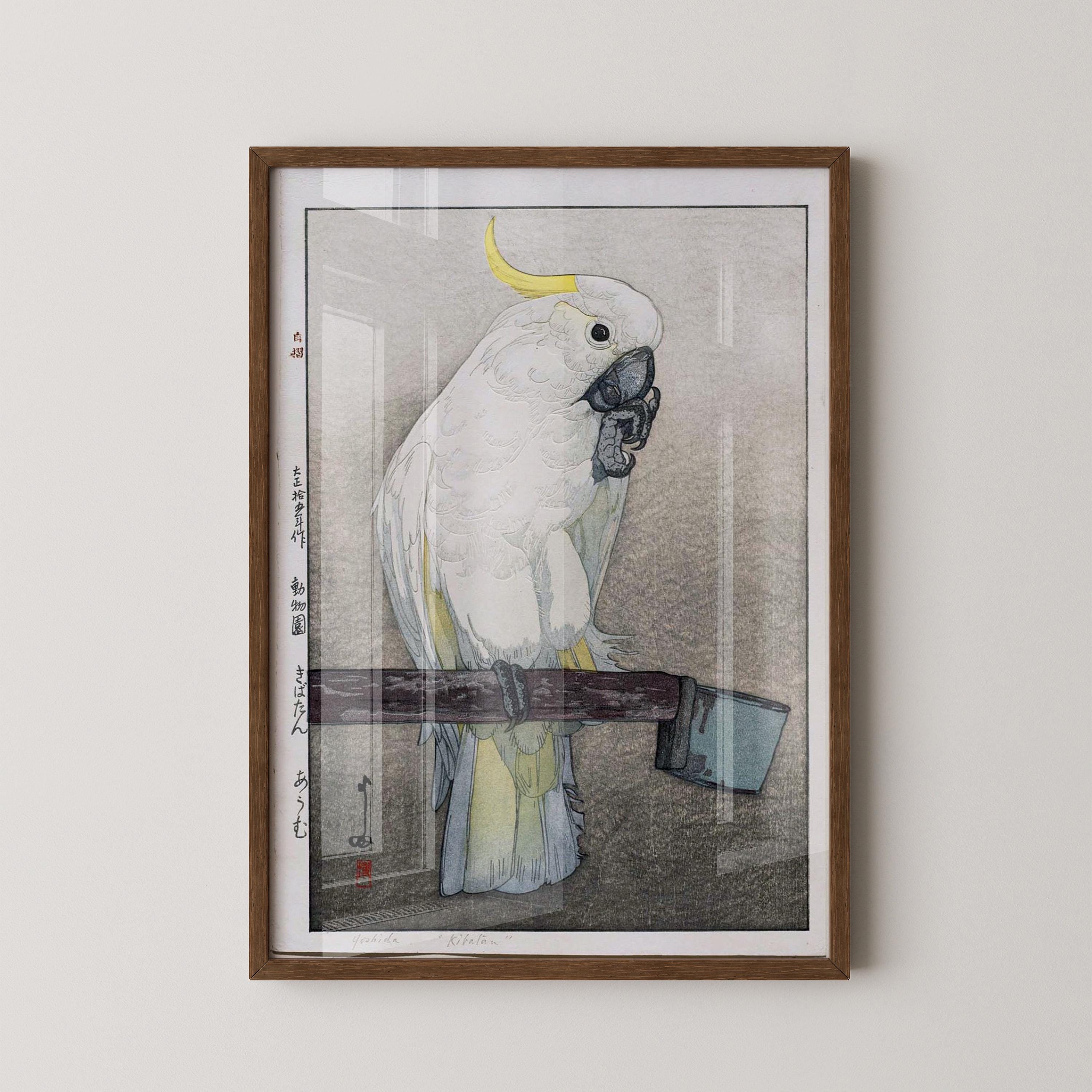 Hiroshi Yoshida – Kibatan Parrot | PREMIUM GICLÉE PRINT | Vintage Japanese Woodblock Art (available handframed or unframed) - 9ArtPrints