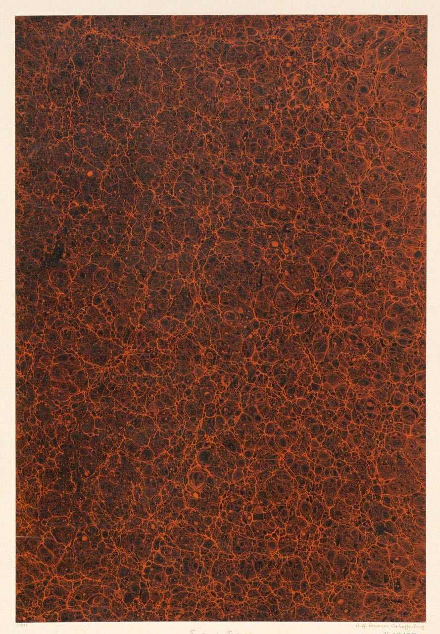 Historic Surface Studies | Graphik Paper Archive (Trade Collection) - 9ArtPrints