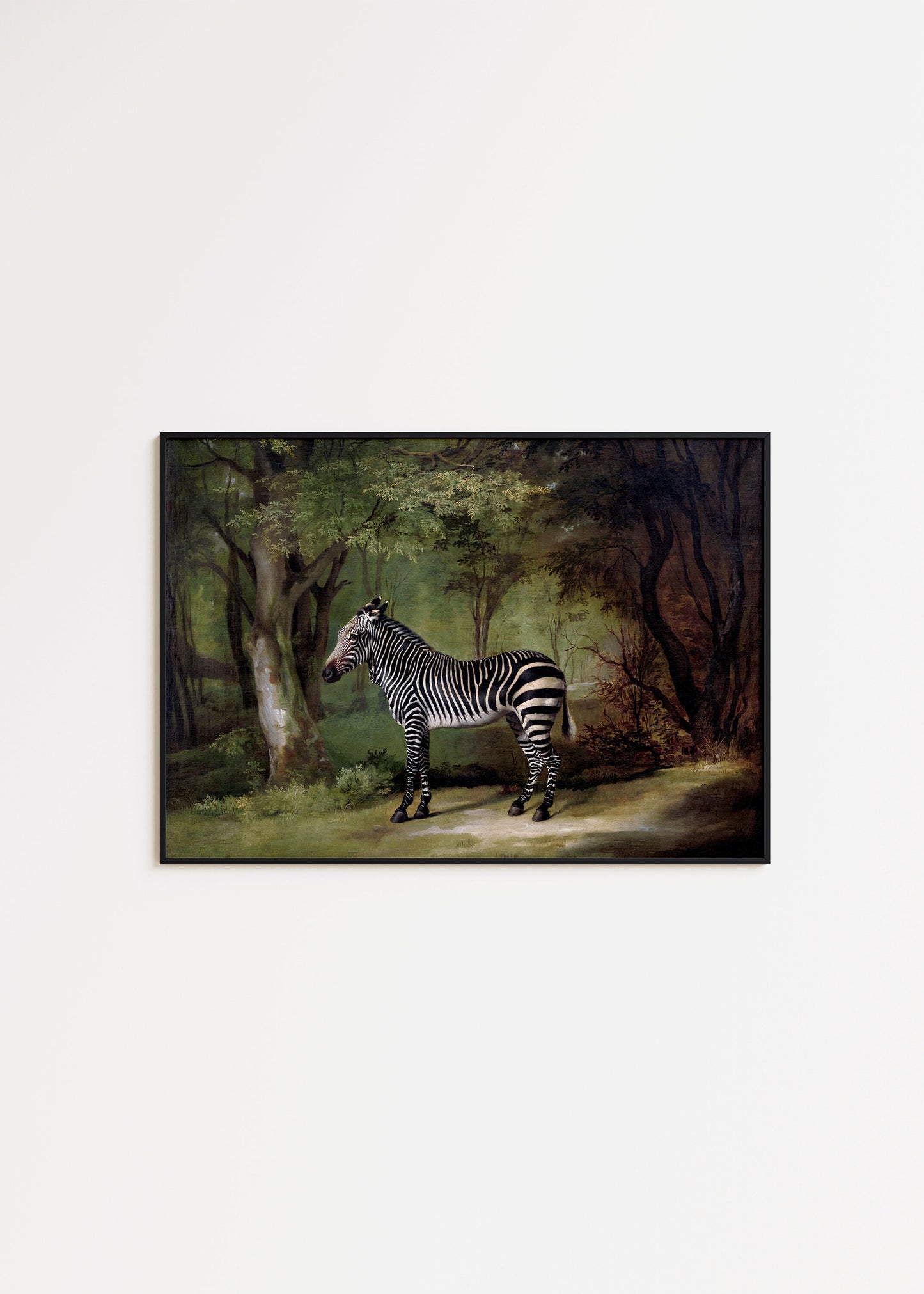 George Stubbs -Zebra Painting