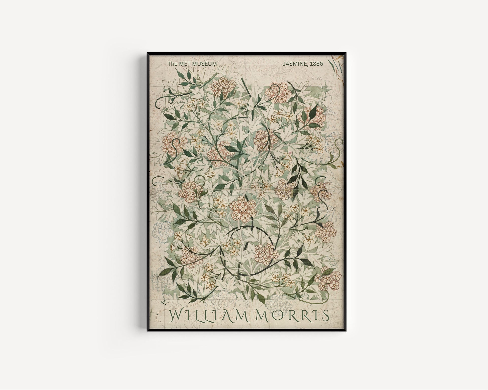 William Morris - Jasmine | Vintage Botanical Art (available framed or unframed)