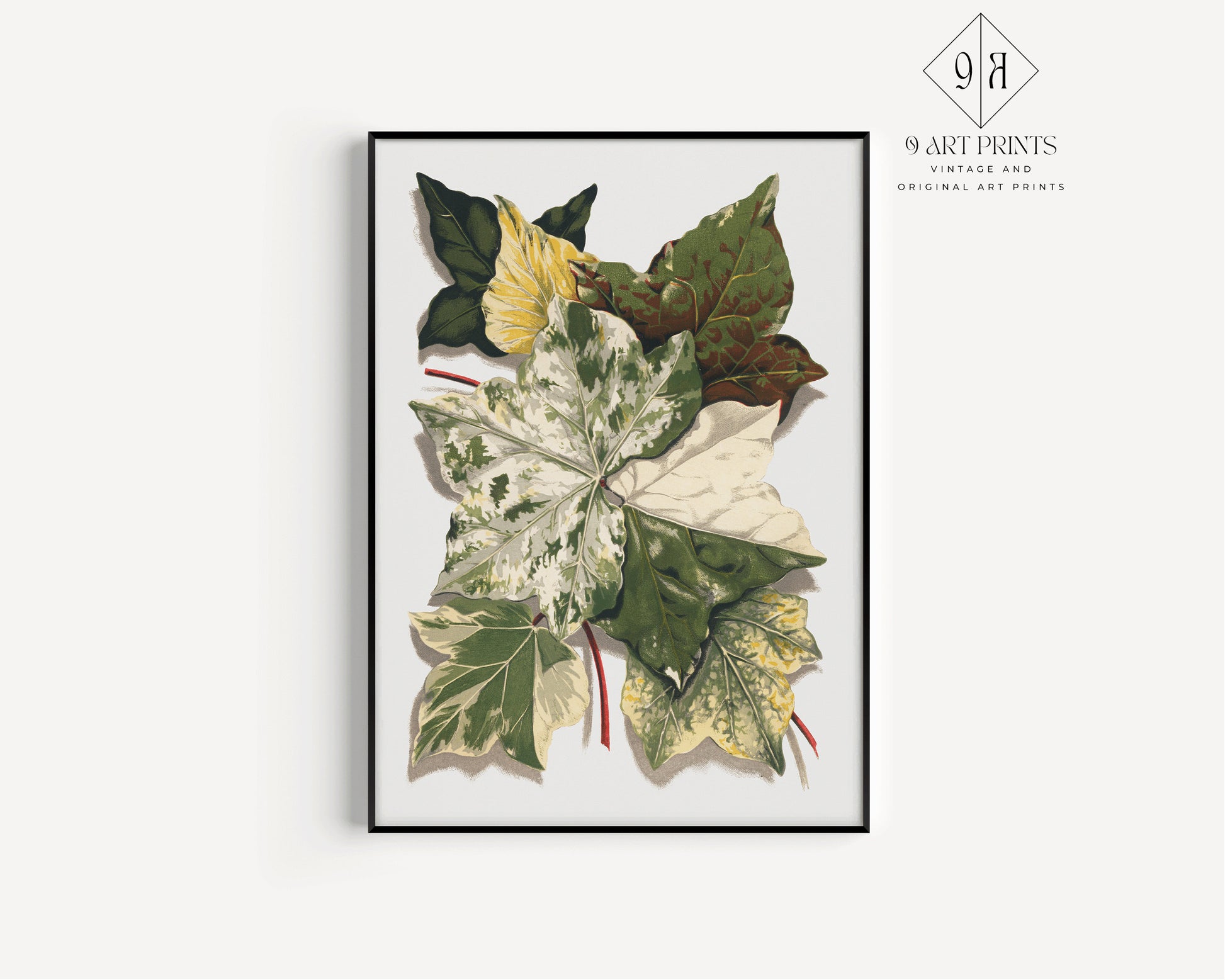 Set of 2 Leaf Prints Ivy Vintage Floral Art Ready to Hang Framed art for above bed sofa housewarming home office decor idea green white