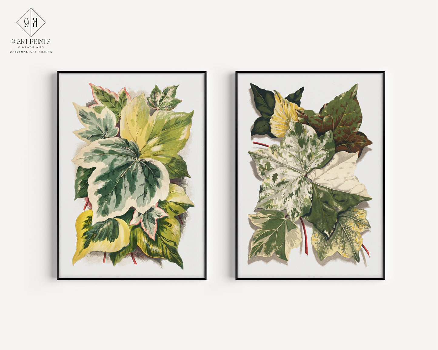Set of 2 Leaf Prints Ivy Vintage Floral Art Ready to Hang Framed art for above bed sofa housewarming home office decor idea green white