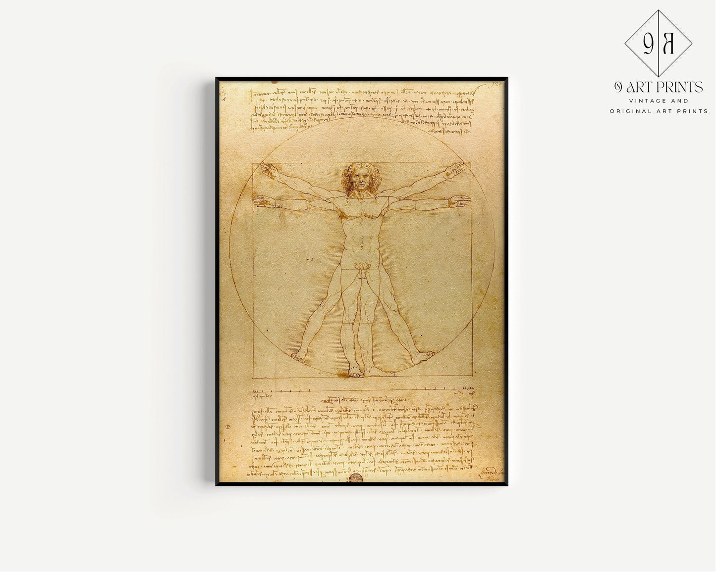 Leonardo Da Vinci - The Vitruvian Man | Iconic Renaissance Painting (available framed or unframed)