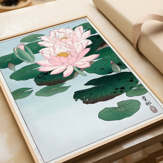 Ohara Koson - Waterlillies | Vintage Japanese Shin-Hanga Kachō-E Botanical Art (available framed or unframed)
