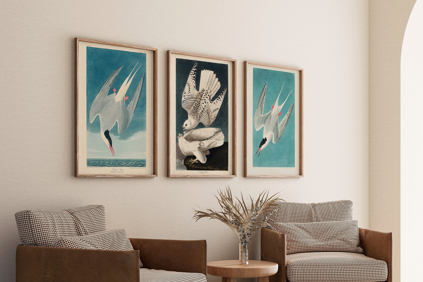 J. J. Audubon - Set of 3 Birds of North America (Arctic Tern and Arctic Hawk) | Available framed or unframed