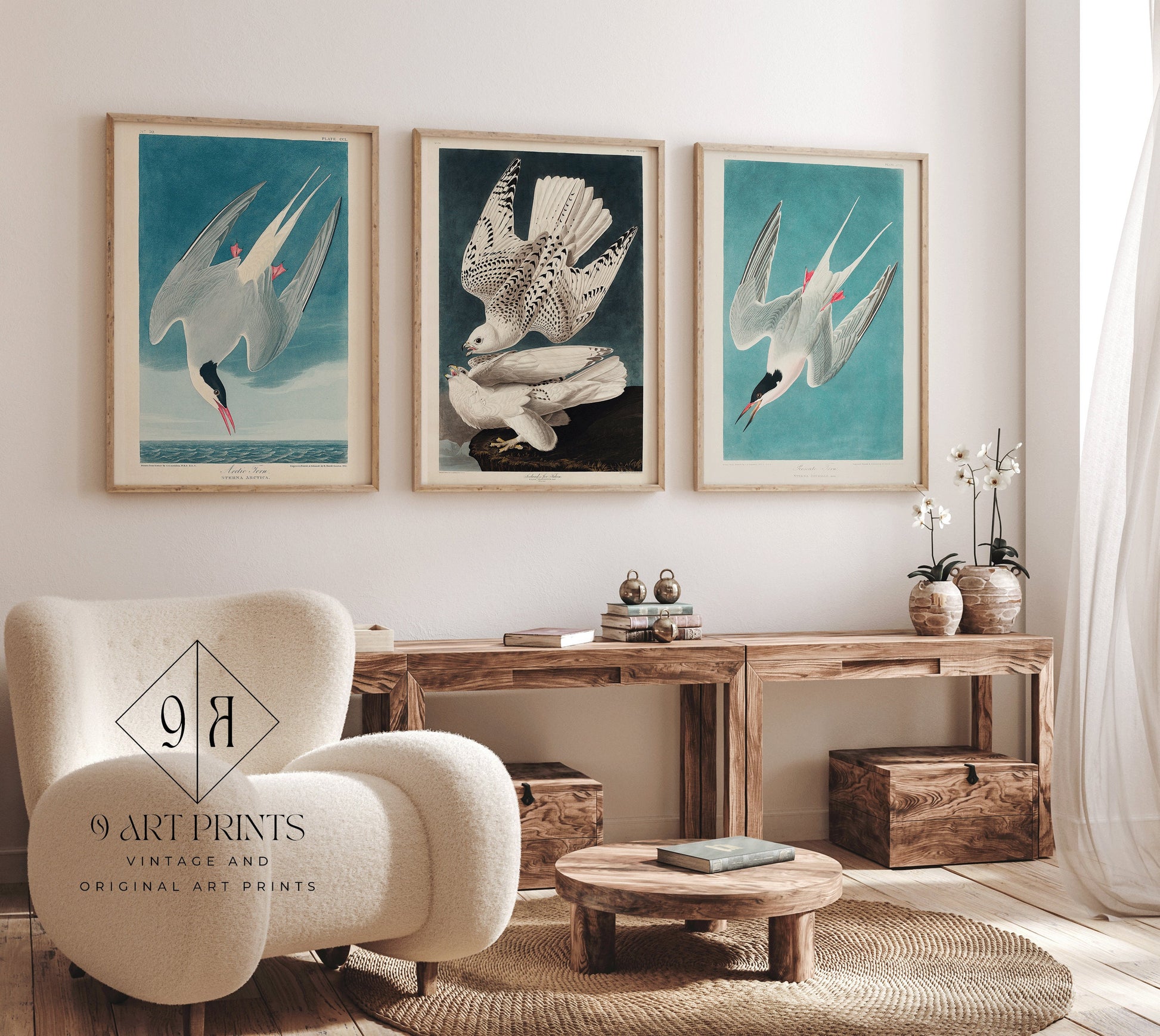 J. J. Audubon - Set of 3 Birds of North America (Arctic Tern and Arctic Hawk) | Available framed or unframed