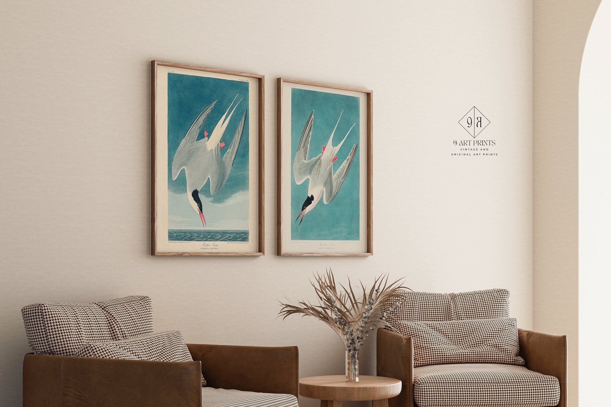 J. J. Audubon Set of 2 Bird Prints - Greater Tern | Available framed or unframed