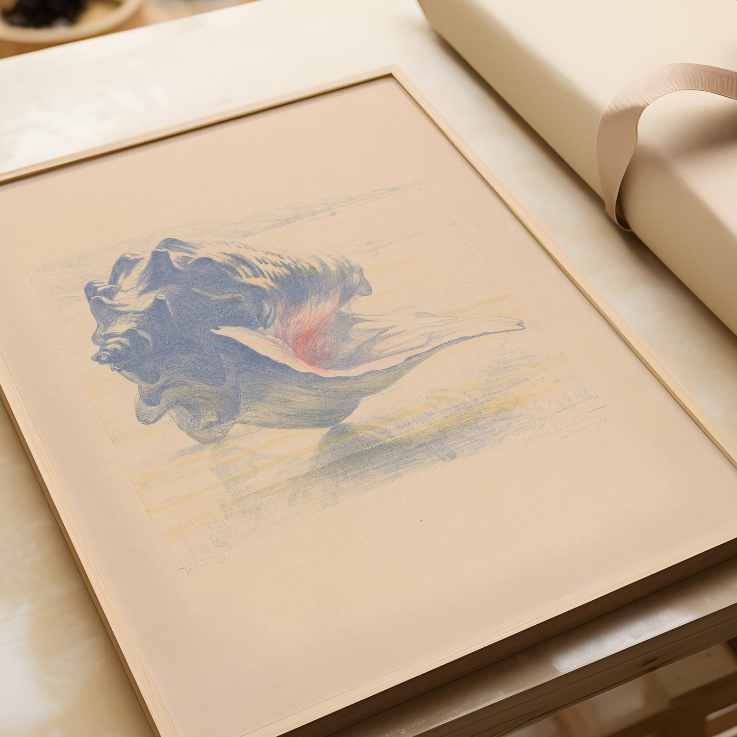 "Shell Sketch by Maurits van der Valk in Beige and Blue, available framed or unframed, with bespoke handcrafted frame options"