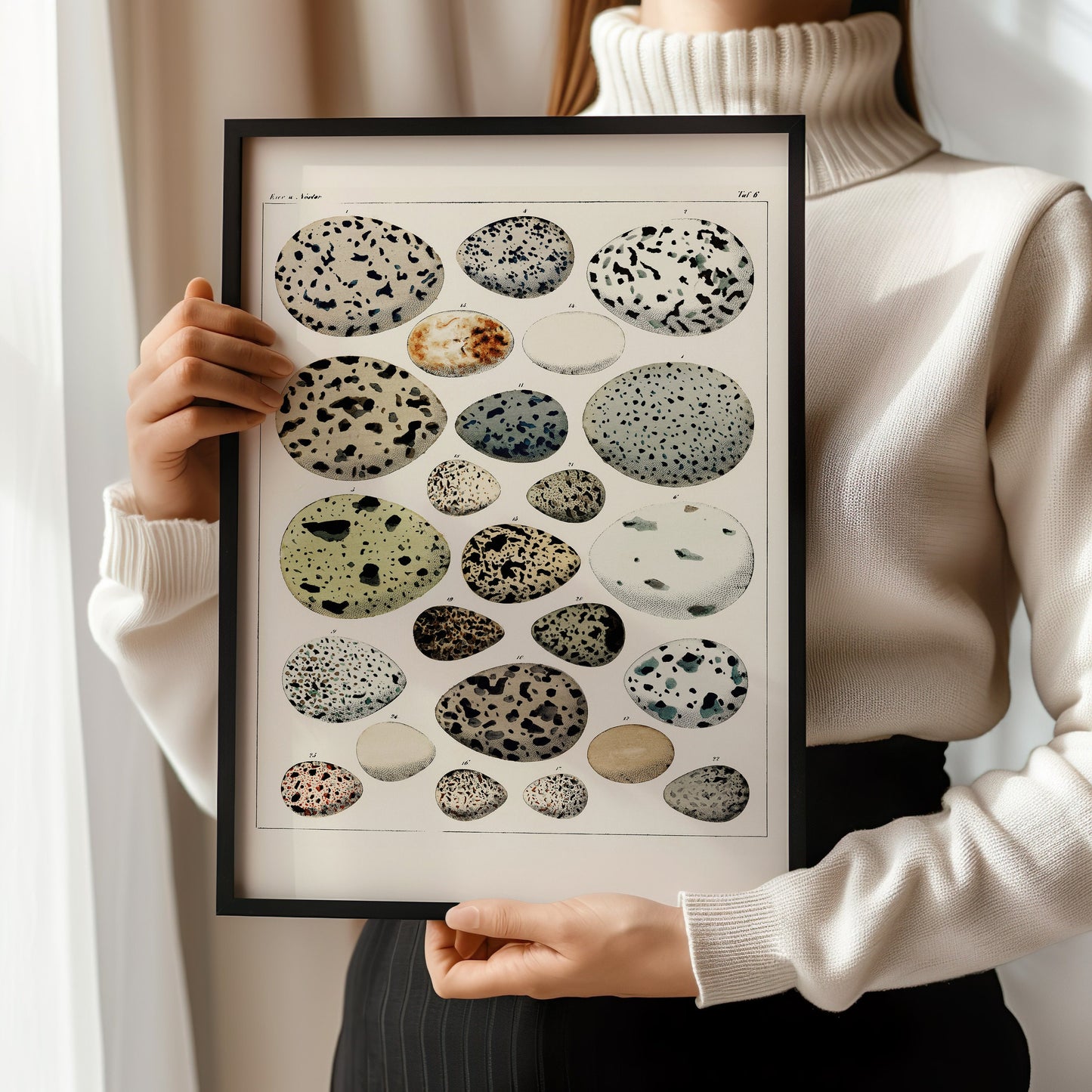 Woman holding framed vintage poster of bird eggs by Lorenz Okesn, showcasing museum-quality fine art print options.