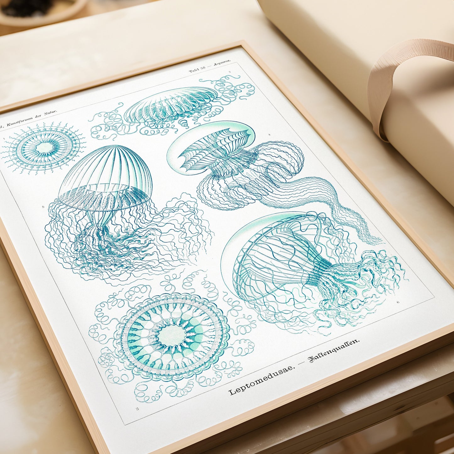 "Ernst Haeckl jellyfish sketch art in beige and blue, framed or unframed, museum-quality fine art print"