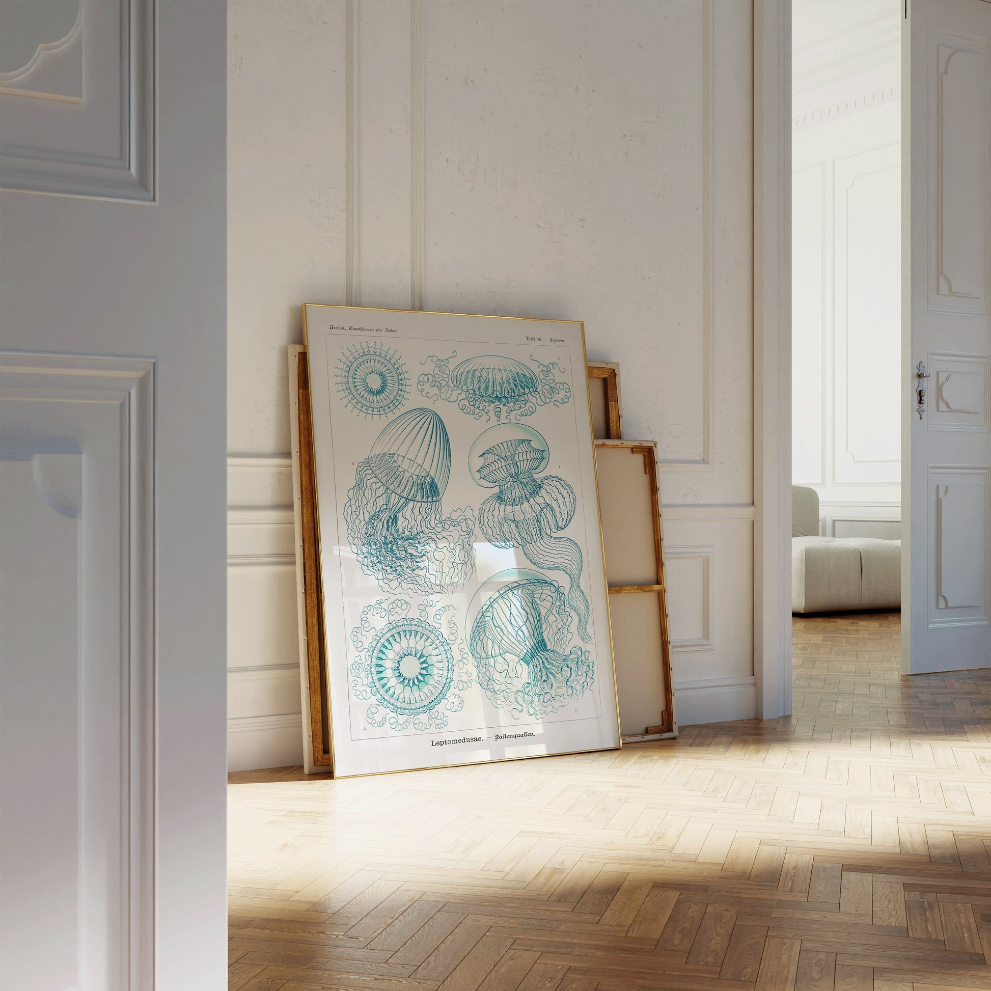 Elegant room with framed Ernst Haeckl jellyfish sketch art in beige and blue, leaning against a wall on hardwood flooring.