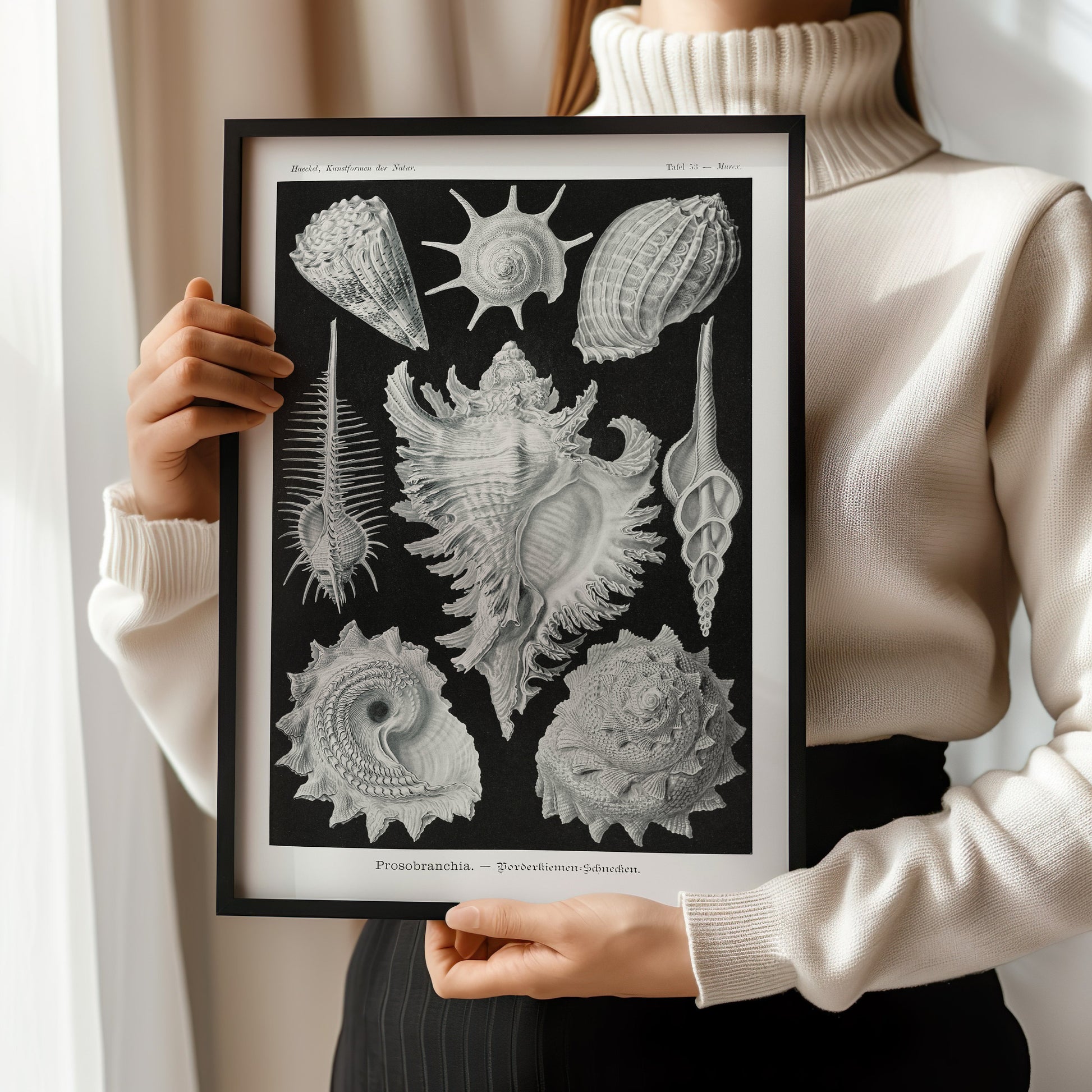 "Ernst Haeckl Shells Sketch Art Print in Black and White, Framed, Held by Woman in White Sweater"