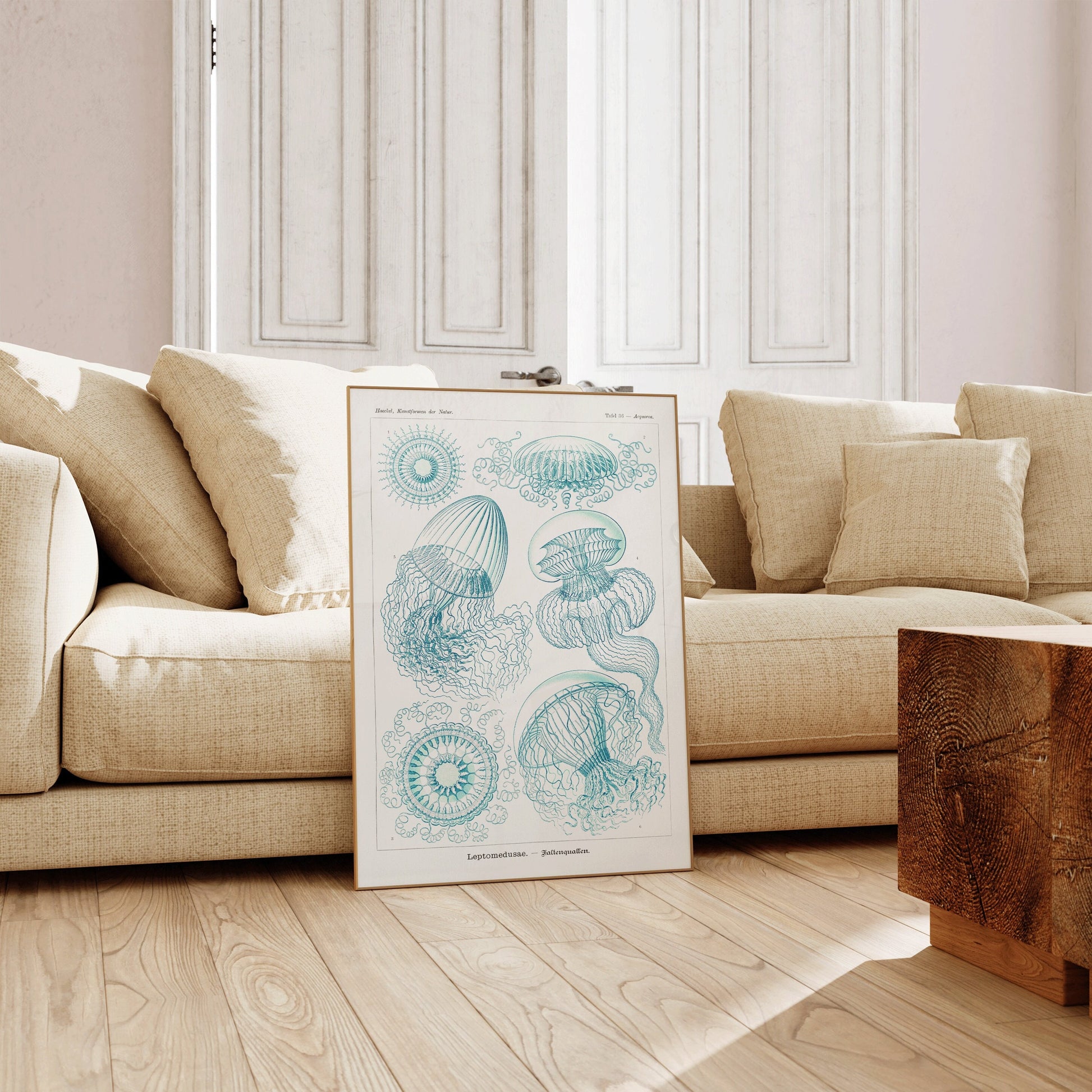 Ernst Haeckl Jellyfish sketch art framed in refined living room setting with beige and blue accents.