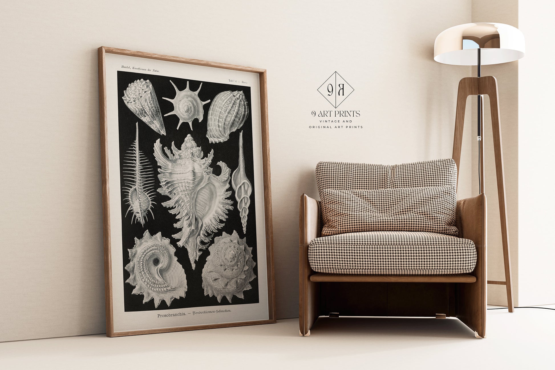 Framed Ernst Haeckl Shells Marine Life Art Print in Black and White Beside a Chair and Lamp in a Modern Interior Setting