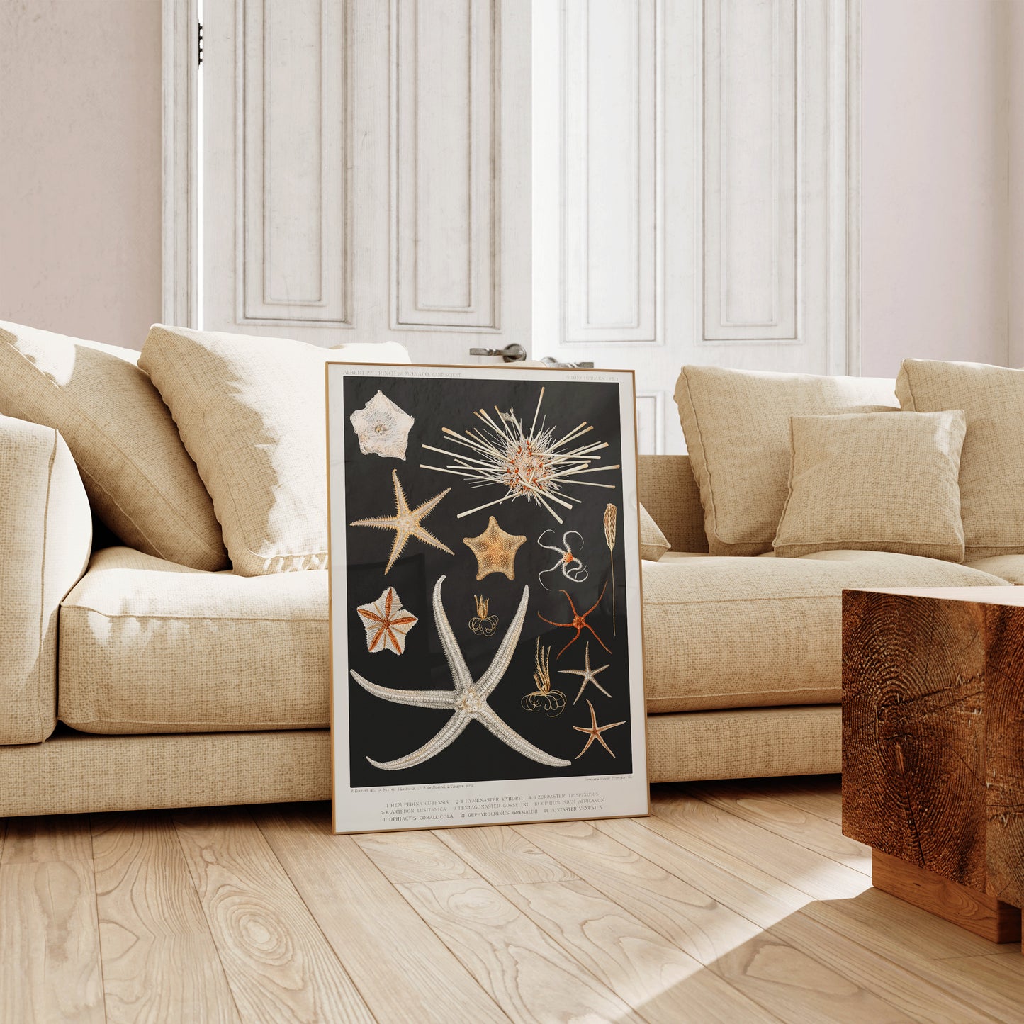 Black and white starfish sketch art print, framed, leaning on a beige sofa in a bright living room.