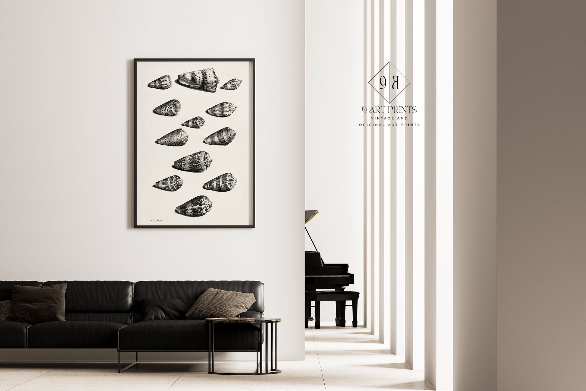 Elegant living room with framed black and white Maria Sybilla Merian marine shell art print on wall, near a grand piano.