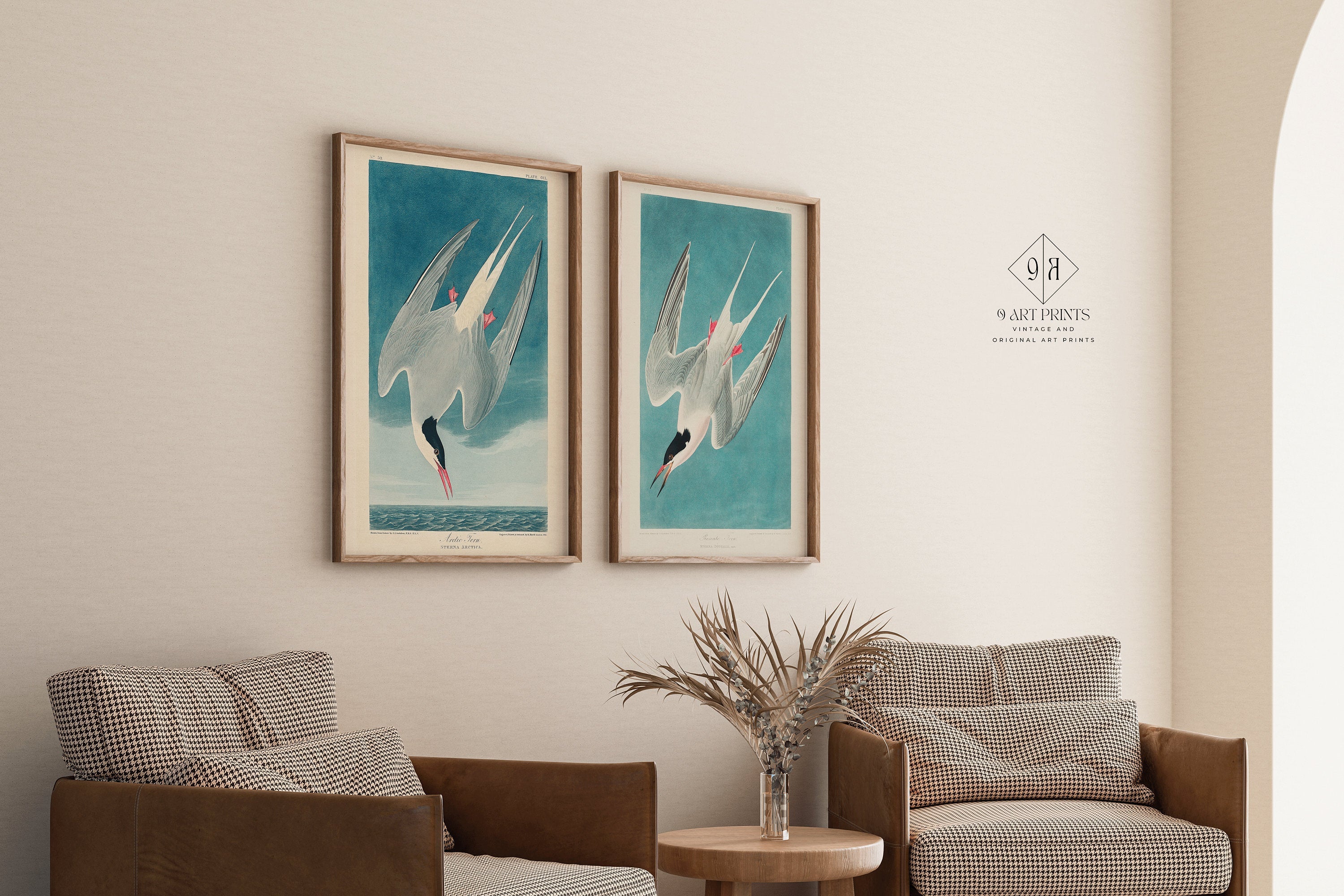 J. J. Audubon Set of 2 Bird Prints - Greater Tern | Available framed or unframed - 9ArtPrints