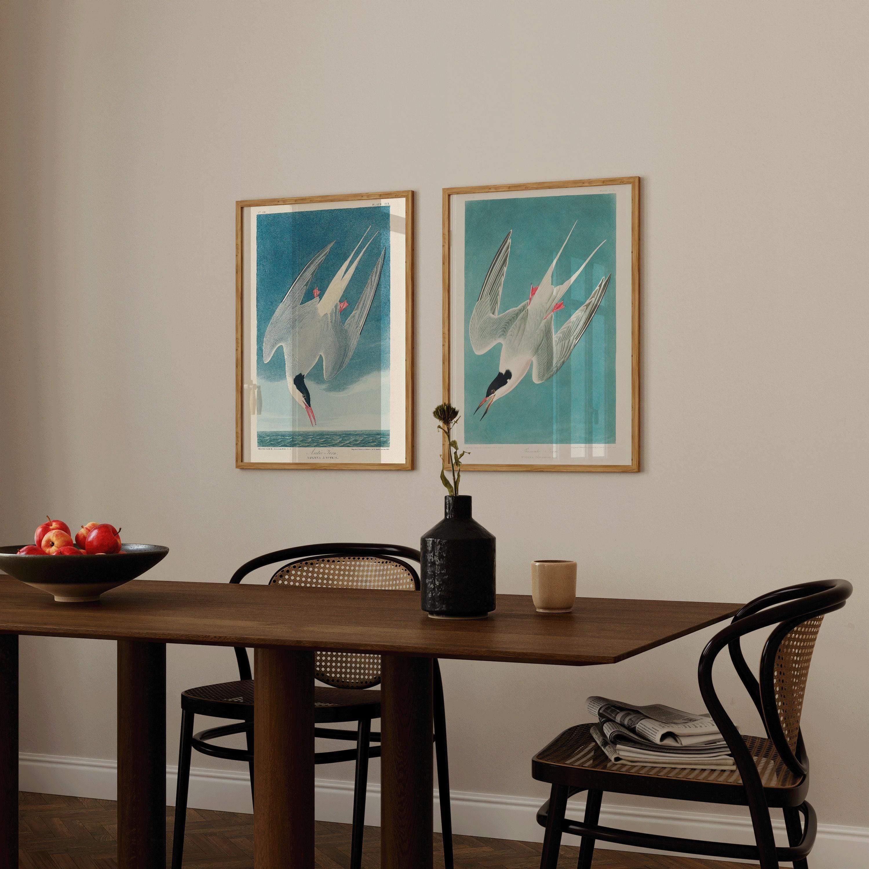 J. J. Audubon STATEMENT DUO Bird Prints - Greater Tern | | available framed - 9ArtPrints