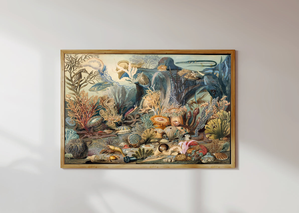 Framed art print of Ocean Life by James M. Somerville, in a light wood frame on a sunlit white wall
