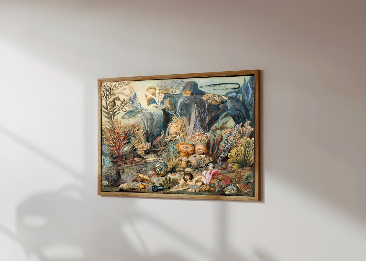 Framed art print of Ocean Life by James M. Somerville, in a light wood frame on a sunlit white wall, seen at a slight angle