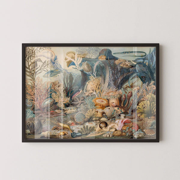 James M. Somerville — Ocean Life | Fine Art Print
