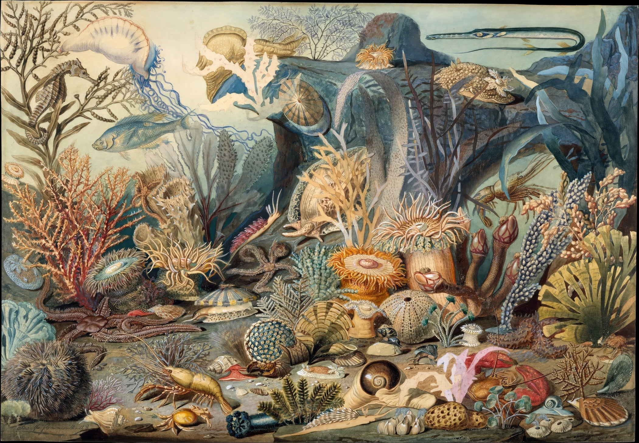 James M. Somerville — Ocean Life | Fine Art Print - 9ArtPrints