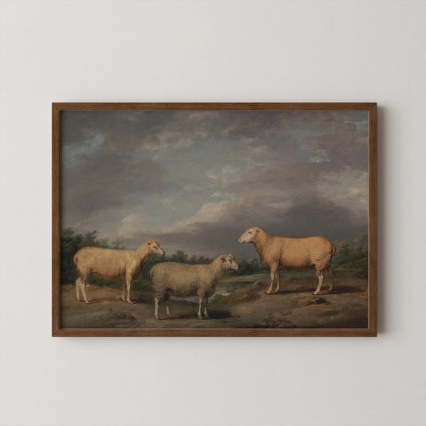 James Ward — Ryelands Sheep | Fine Art Print