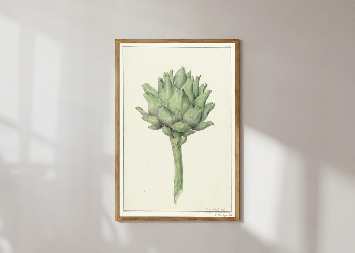 Framed art print of Artisjok (Artichoke) by Jean Bernard, in a light wood frame on a sunlit white wall