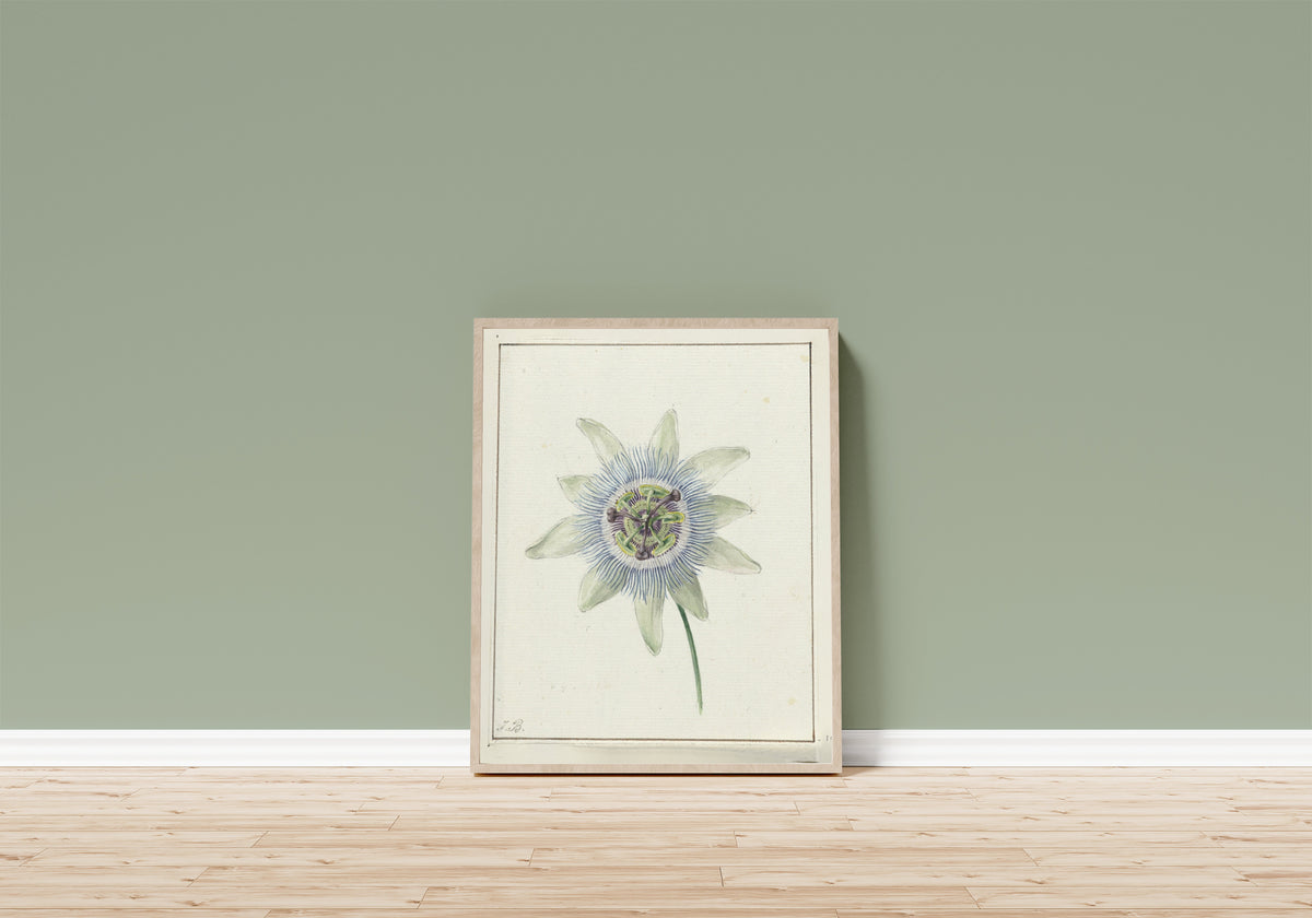 Framed art print of Passion Flower by Jean Bernard, in a light wood frame leaning on a sage green wall above a wooden floor