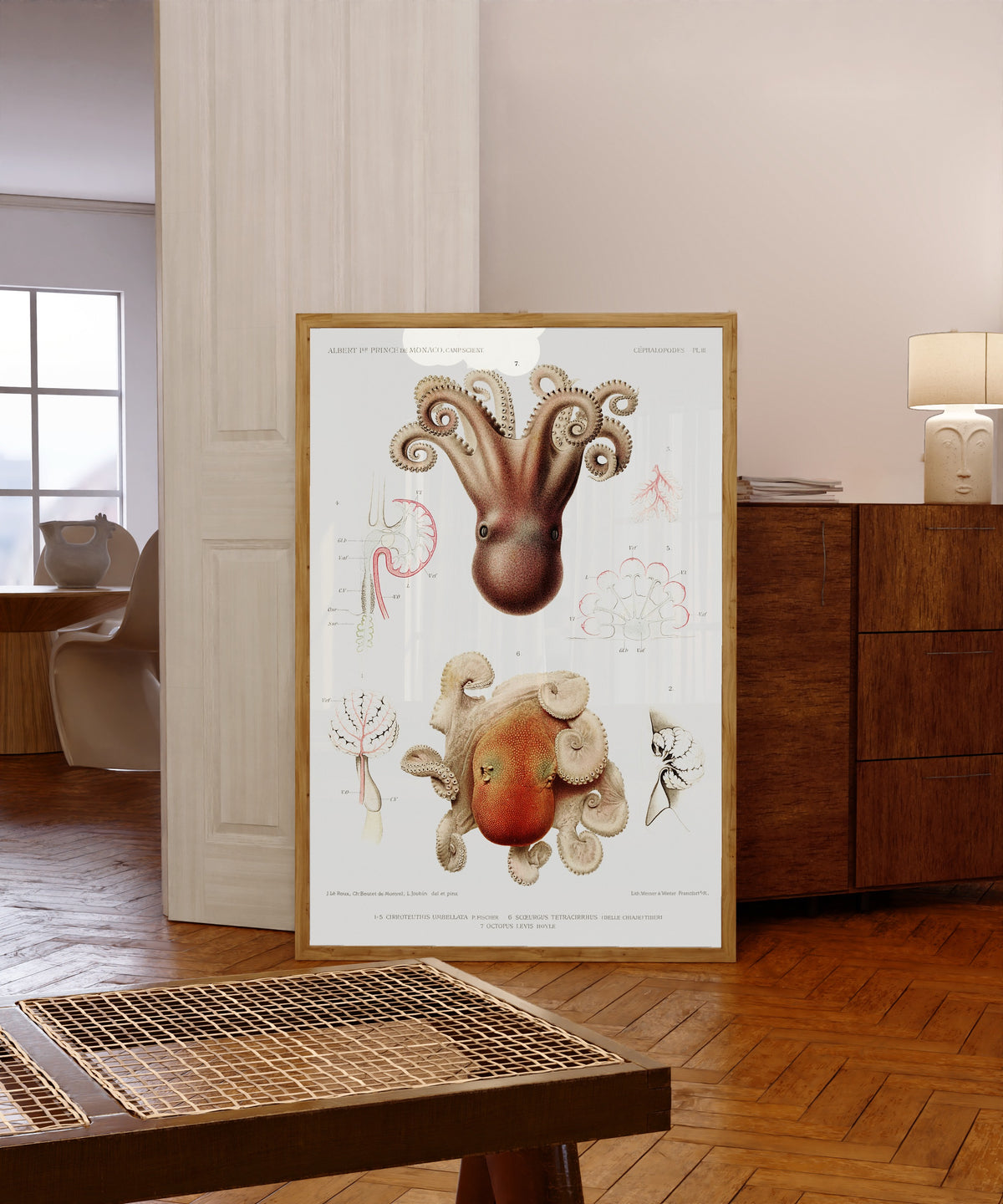 Framed art print of Cirroteuthis umbellata… by Jeanne Le Roux, Ch. Boutet de Monvel & Louis Joubin, in a light wood frame leaning in a warm room with a parquet floor