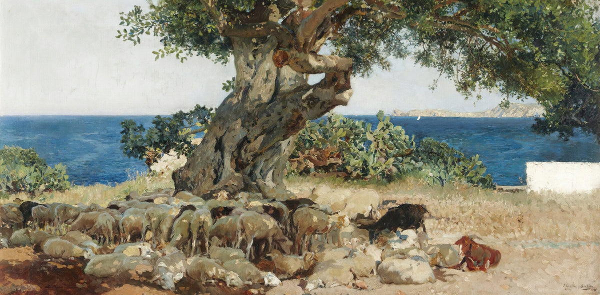 Joaquín Sorolla — Algarrobo: Carob Tree | Fine Art Print - 9ArtPrints