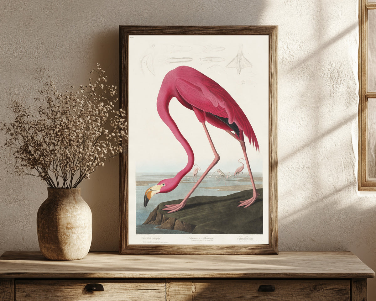 Framed art print of American Flamingo by John James Audubon, in a dark wood frame leaning on a rustic console beside dried flowers