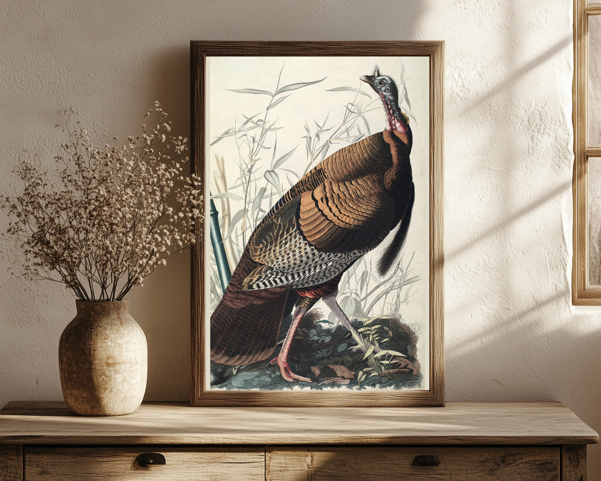 Framed art print of Wild Turkey by John James Audubon, in a dark wood frame leaning on a rustic console beside dried flowers