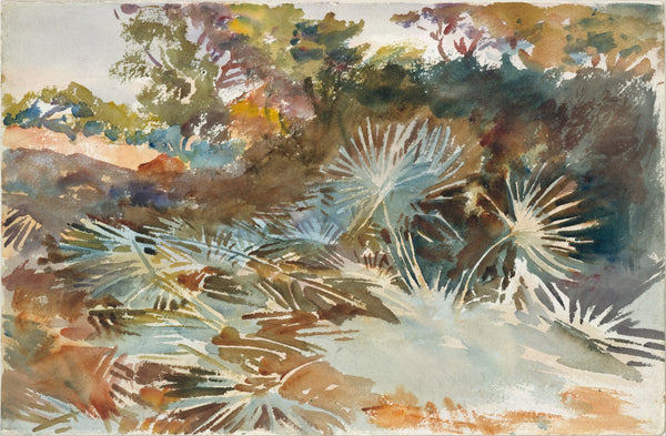 John Singer Sargent — Landscape with Palmettos | Fine Art Print
