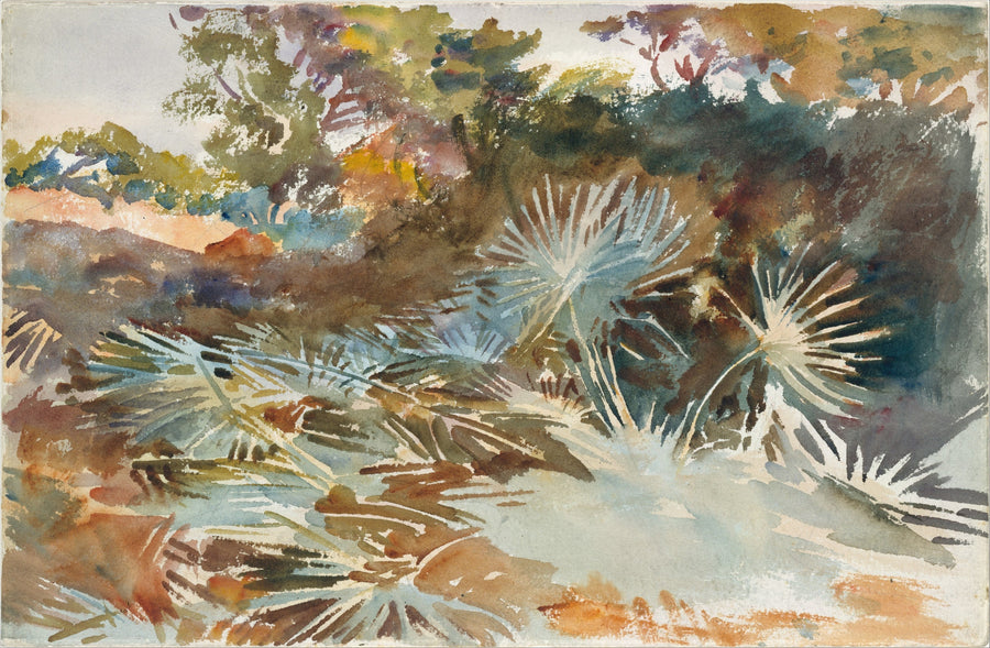 John Singer Sargent — Landscape with Palmettos | Fine Art Print shown to scale on a wall above a sofa