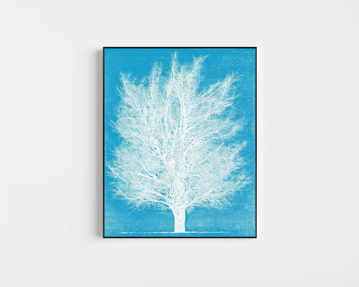 Framed art print of Ice Tree by Joichi Hoshi, in a slim black frame on a plain white wall