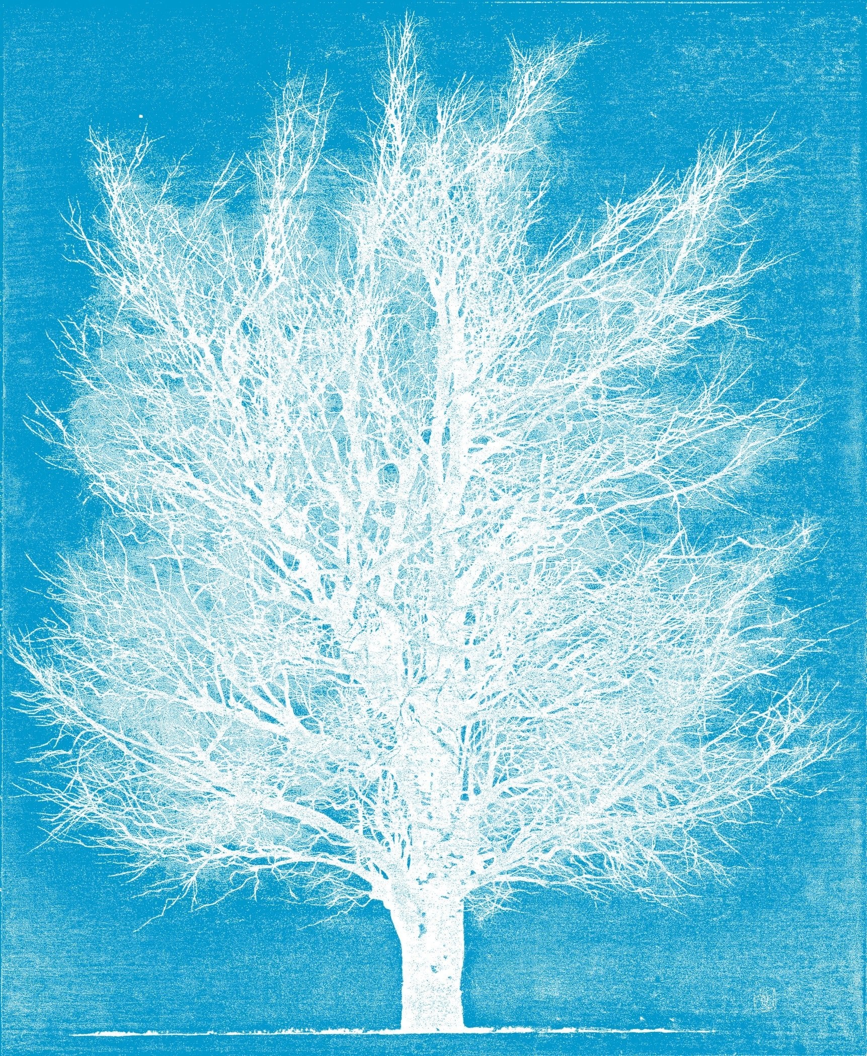 Joichi Hoshi — Ice Tree | Sosaku-hanga Print - 9ArtPrints