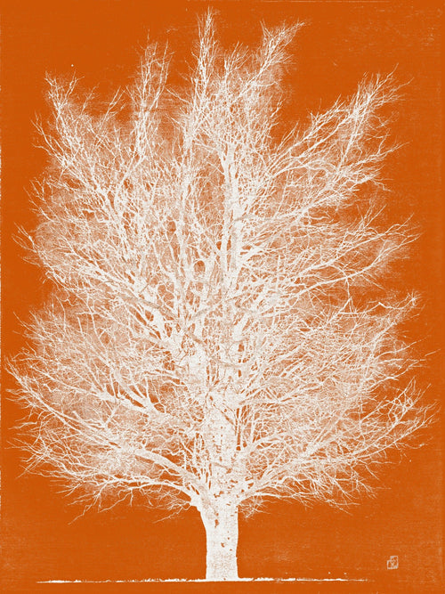 Joichi Hoshi — Orange and White Tree | Sosaku-hanga Print - 9ArtPrints
